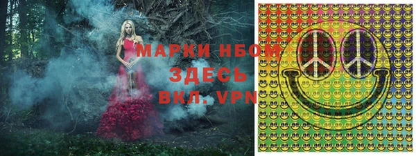 шишки Беломорск