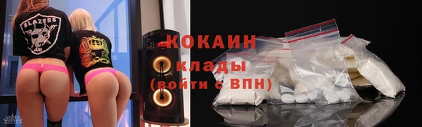 шишки Беломорск