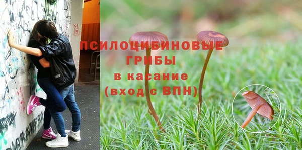 мяу мяу мука Белокуриха
