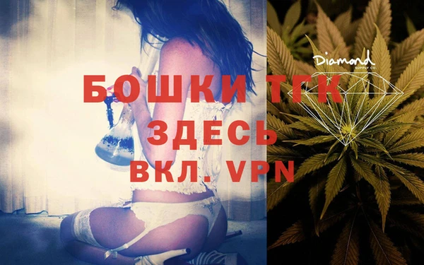 шишки Беломорск