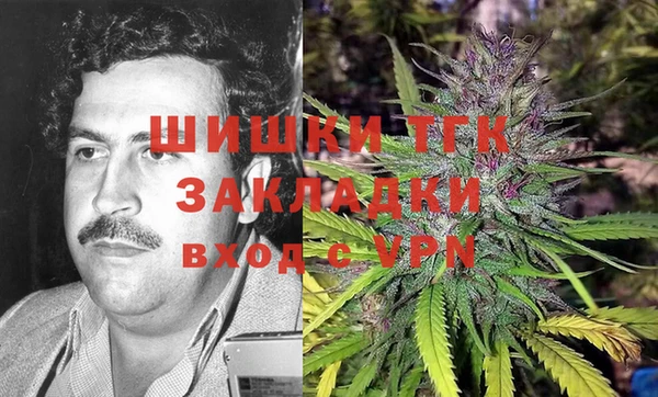 гидра Белоозёрский