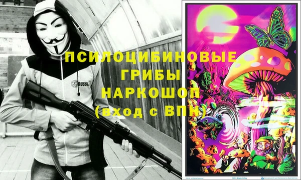 мяу мяу мука Белокуриха