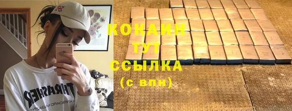 шишки Беломорск