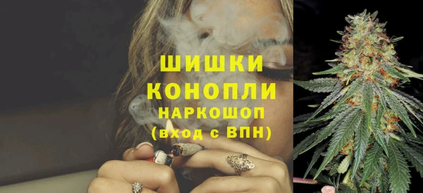 гидра Белоозёрский